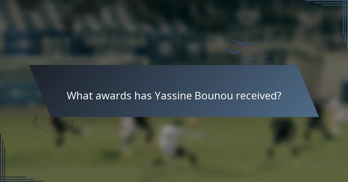What awards has Yassine Bounou received?